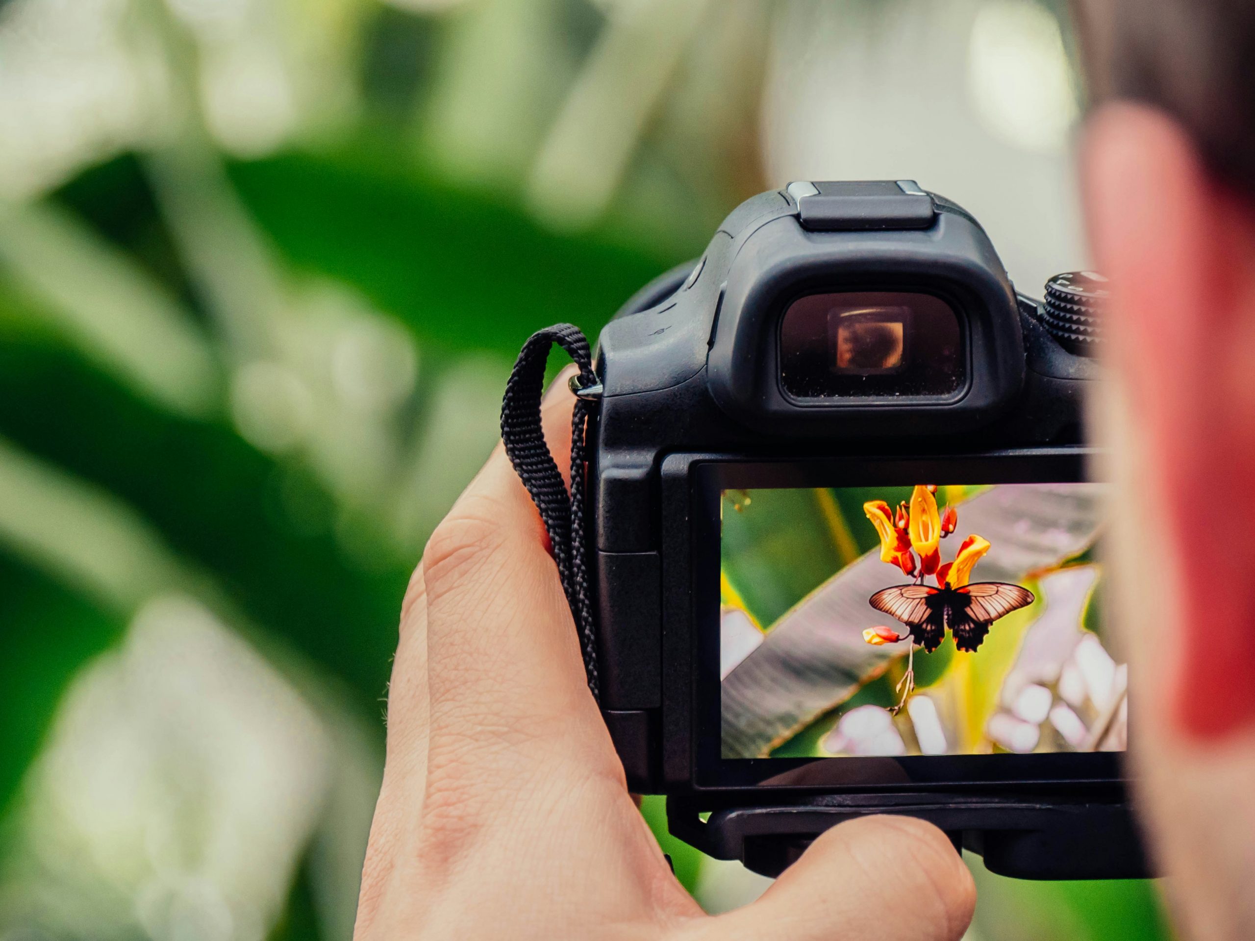 View through a camera lens