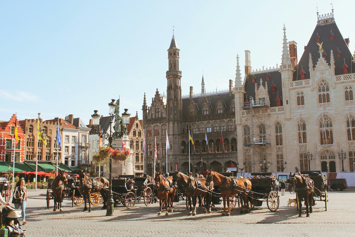 A group of horses pulling carriages in Bruges, Belgium